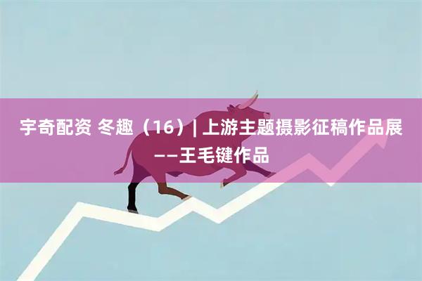 宇奇配资 冬趣（16）| 上游主题摄影征稿作品展——王毛键作品