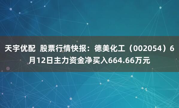 天宇优配  股票行情快报：德美化工（002054）6月12日主力资金净买入664.66万元