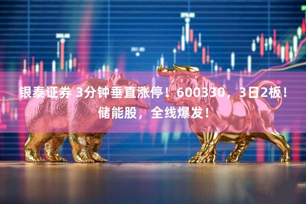 银泰证券 3分钟垂直涨停！600330，3日2板！储能股，全线爆发！
